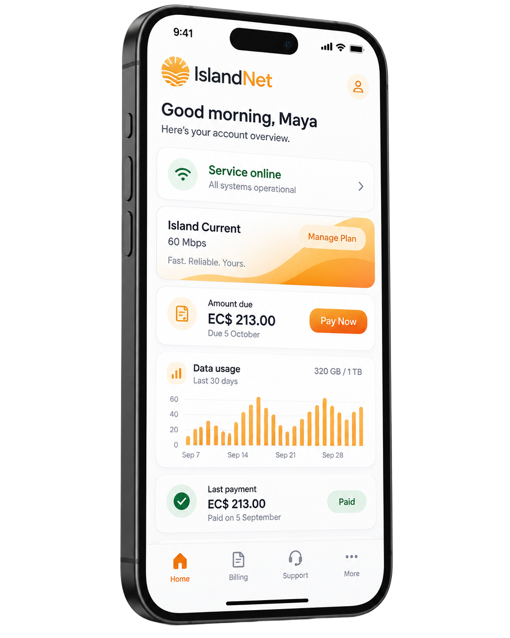 Angled phone showing a fictional IslandNet customer account overview